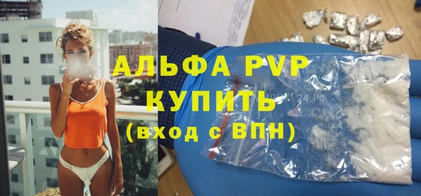 стаф Абаза