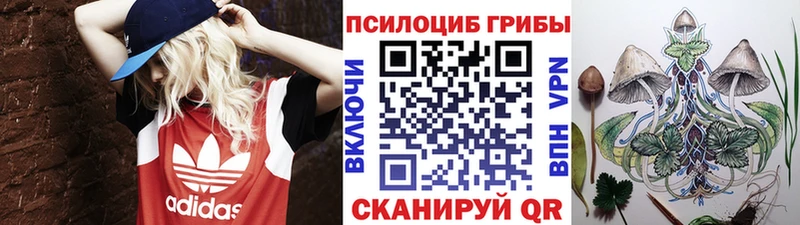 Галлюциногенные грибы Psilocybine cubensis  сайты даркнета наркотические препараты  Алдан 